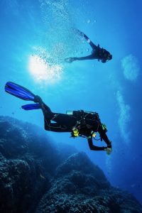 Plongée dans la Réserve Cousteau